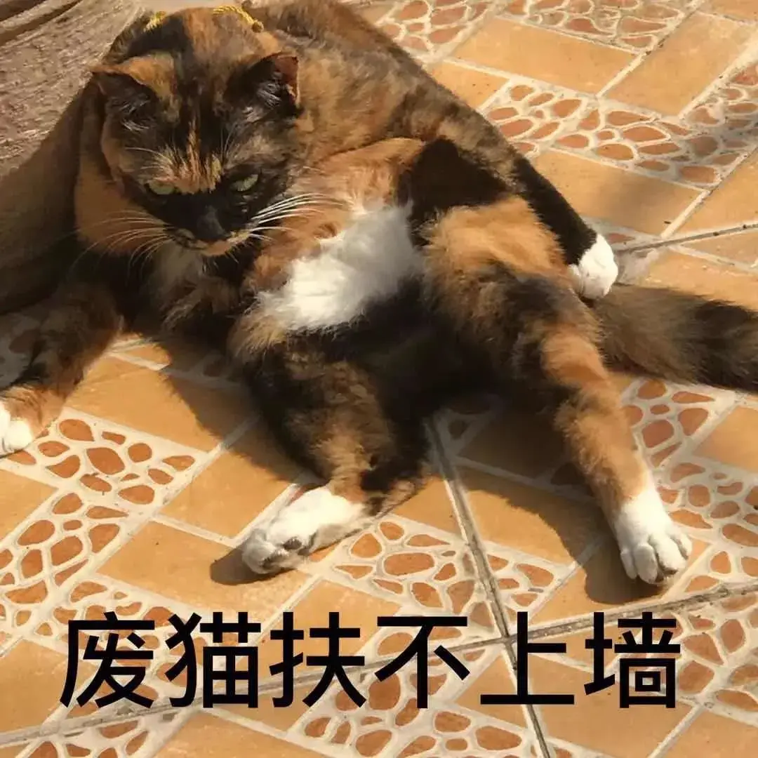 114张猫咪的动图表情包 - 知乎