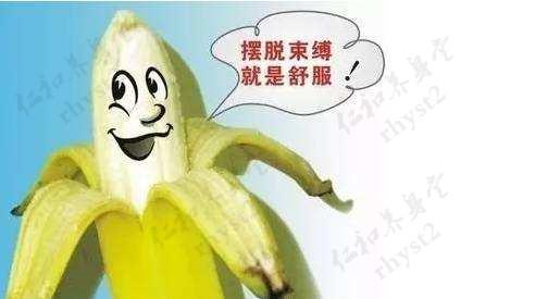 我们来聊聊丁丁的故事