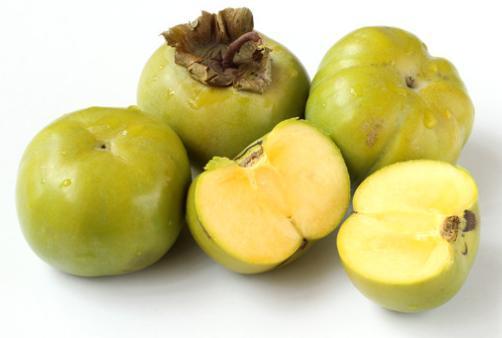 青柿子能吃吗青柿子如何泡酒喝有什么作用