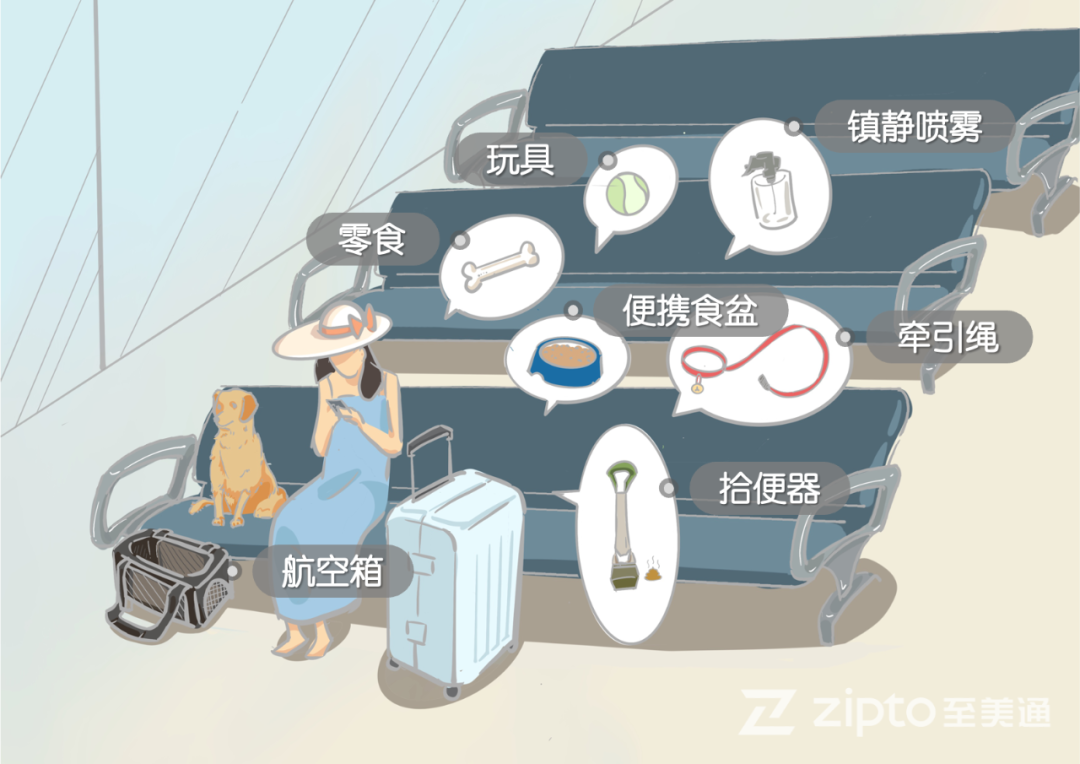 消费场景与选品 | 美国人正在购买这些宠物用品