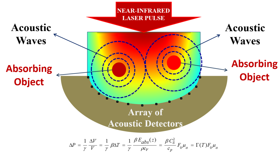 应用讲堂上篇光声成像在生物医学研究