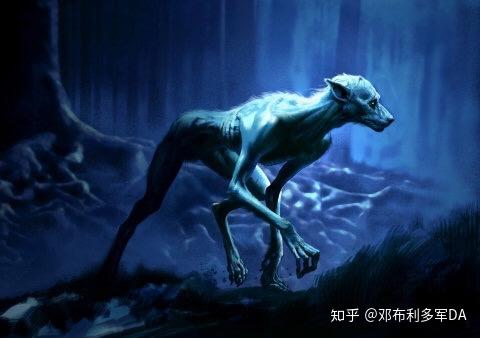 【官网】你可能不知道的事——关于莱姆斯·卢平 - 知乎