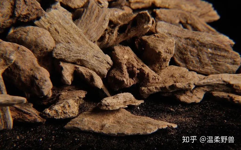 檀香的一些片段(含译文) - 知乎