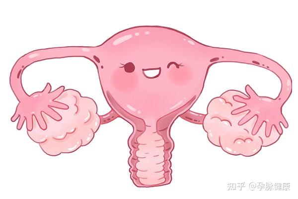 zhuanlan.zhihu.com