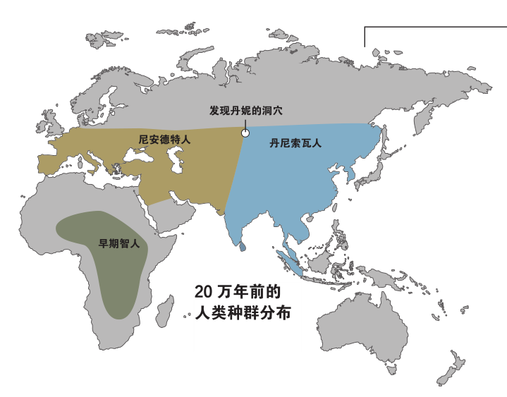 5%～4%;而丹尼索瓦人的dna在东亚人和大洋洲人中的占比与之类似