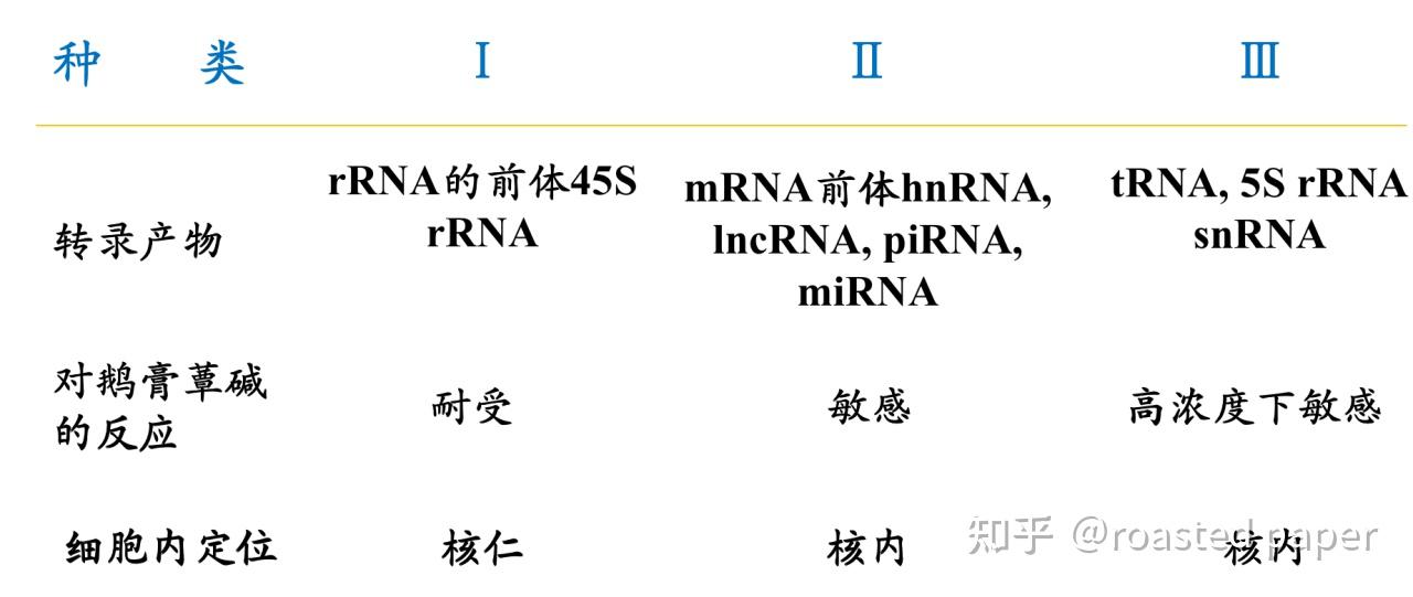 生化与分子生物学——分子生物学篇之RNA的生物合成(转录) - 知乎