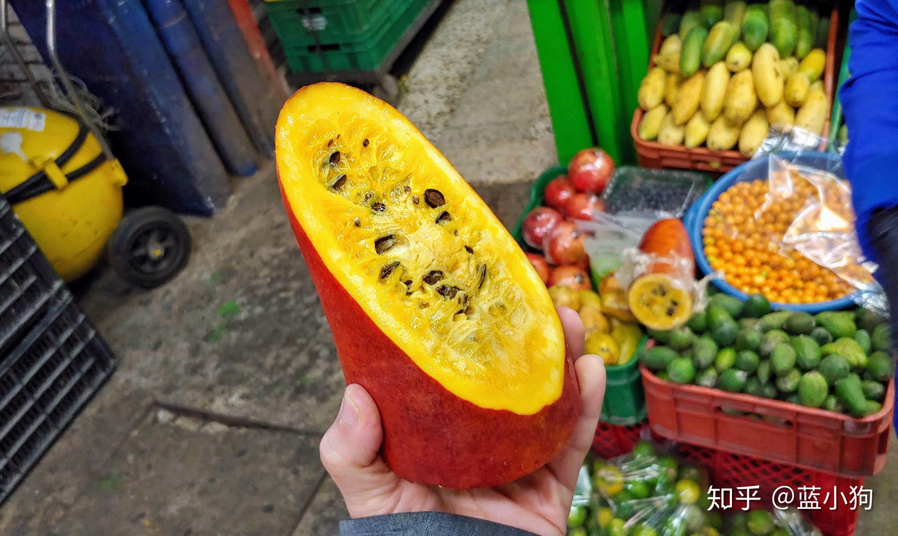 千奇百怪的南美水果（1） - 知乎