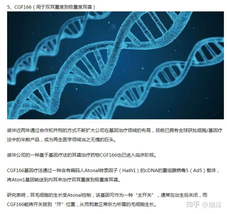 自1976年人類首次提出耳蝸毛細胞再生的概念,1976-2005年之間一直在