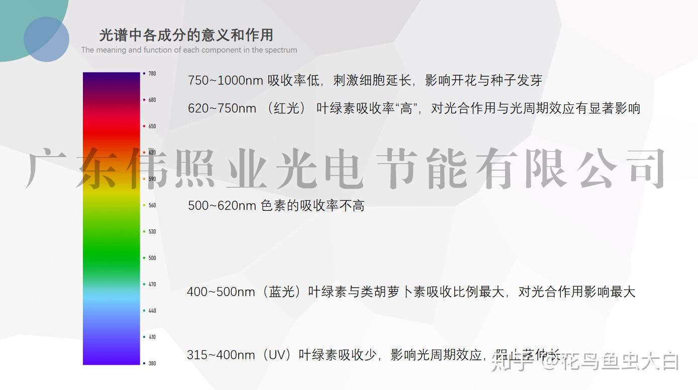 植物生长灯的原理、特点和应用前景 - 知乎
