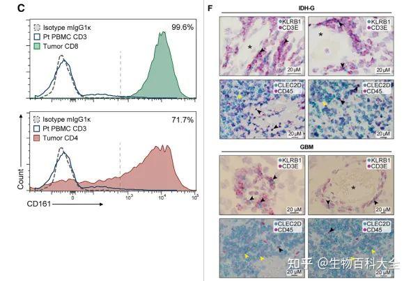 单细胞分析发现肿瘤新型免疫检查点--CD161 - 知乎