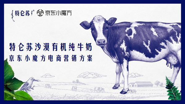 『何策网』2022年5月营销策划方案汇总-215例