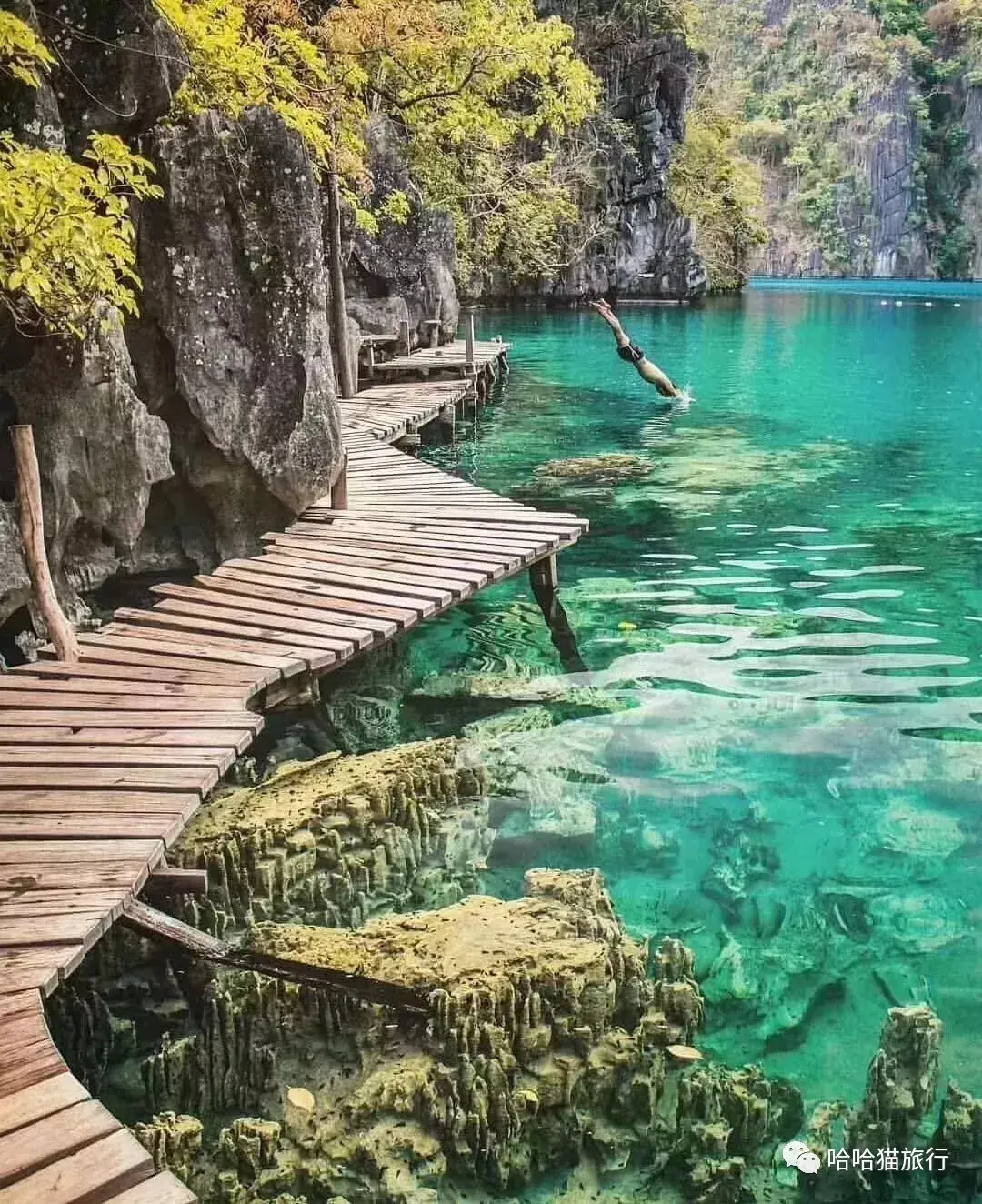 菲律宾科隆岛，探寻海底的秘密
