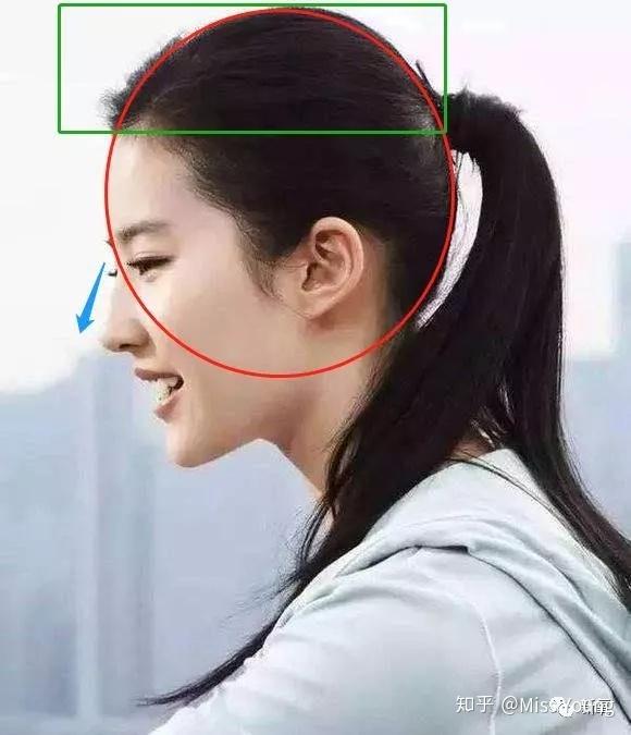 死氧说了不知道多少遍的骨骼结构,比如完美的圆脑袋,十分难得的高颅顶