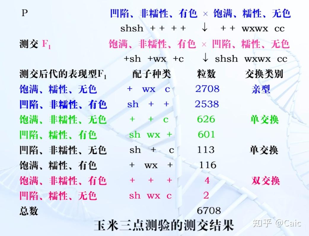 遗传学_4 连锁遗传和性遗传 - 知乎