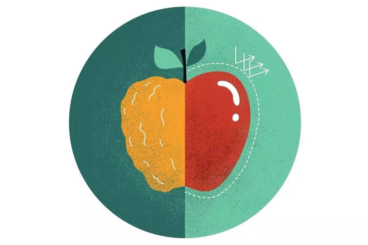 什么是抗氧化?抗氧化=抗衰老?