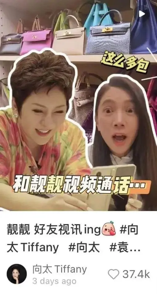 袁咏仪看到向太家的爱马仕两眼放光,至于吗? - 知乎