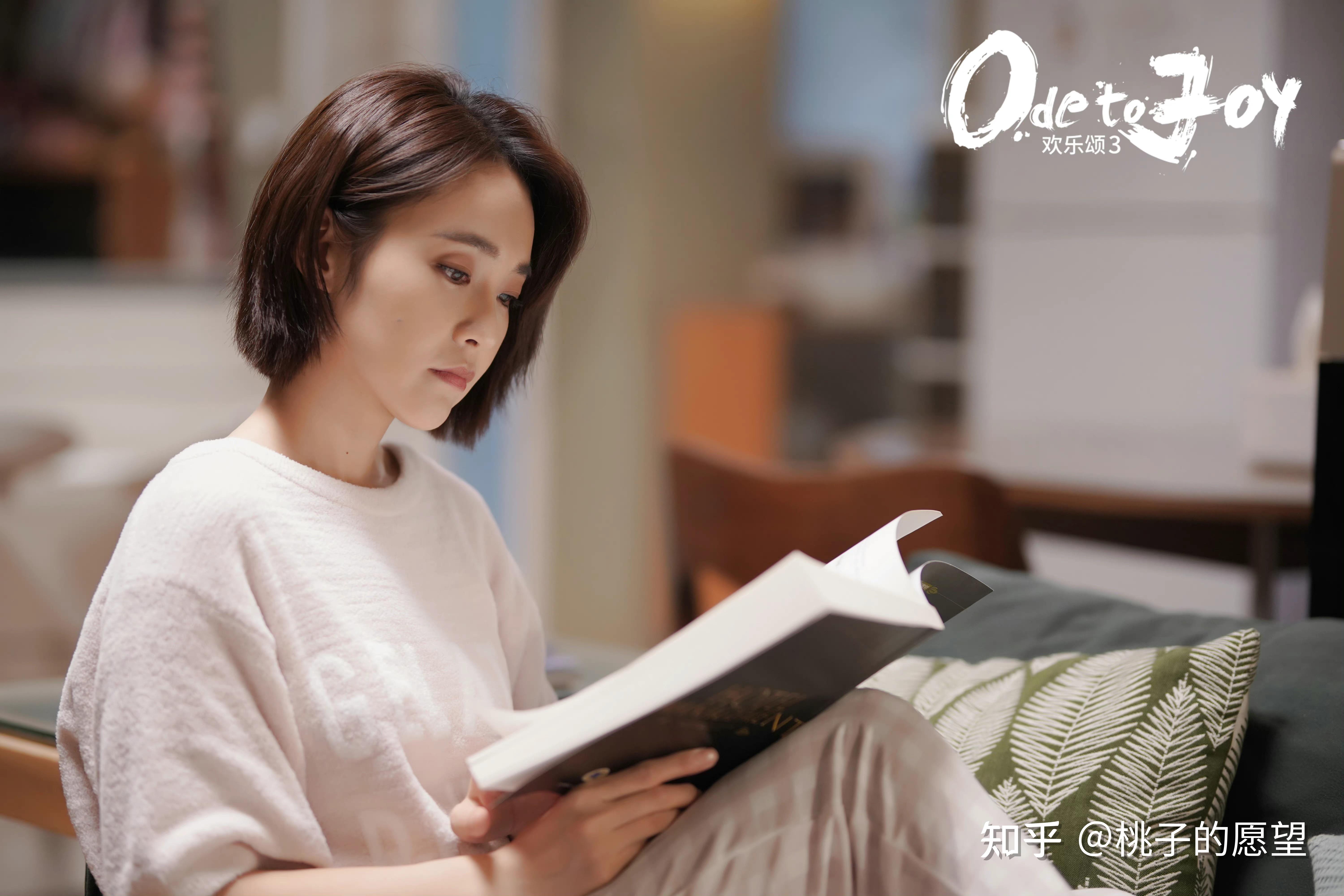 欢乐颂3——尴尬从何而来