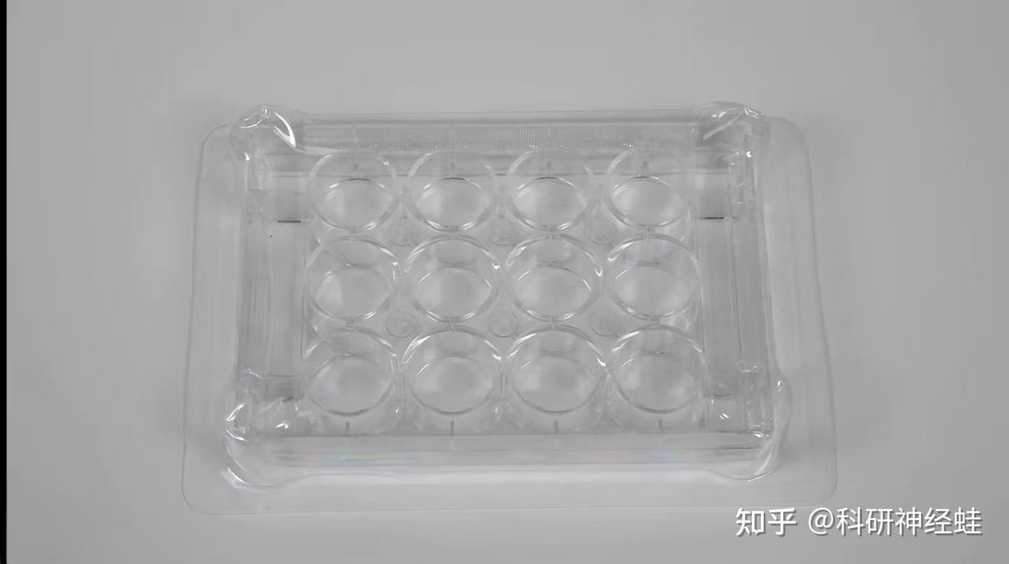 双染色检测细胞凋亡———实验入门全解析 - 知乎