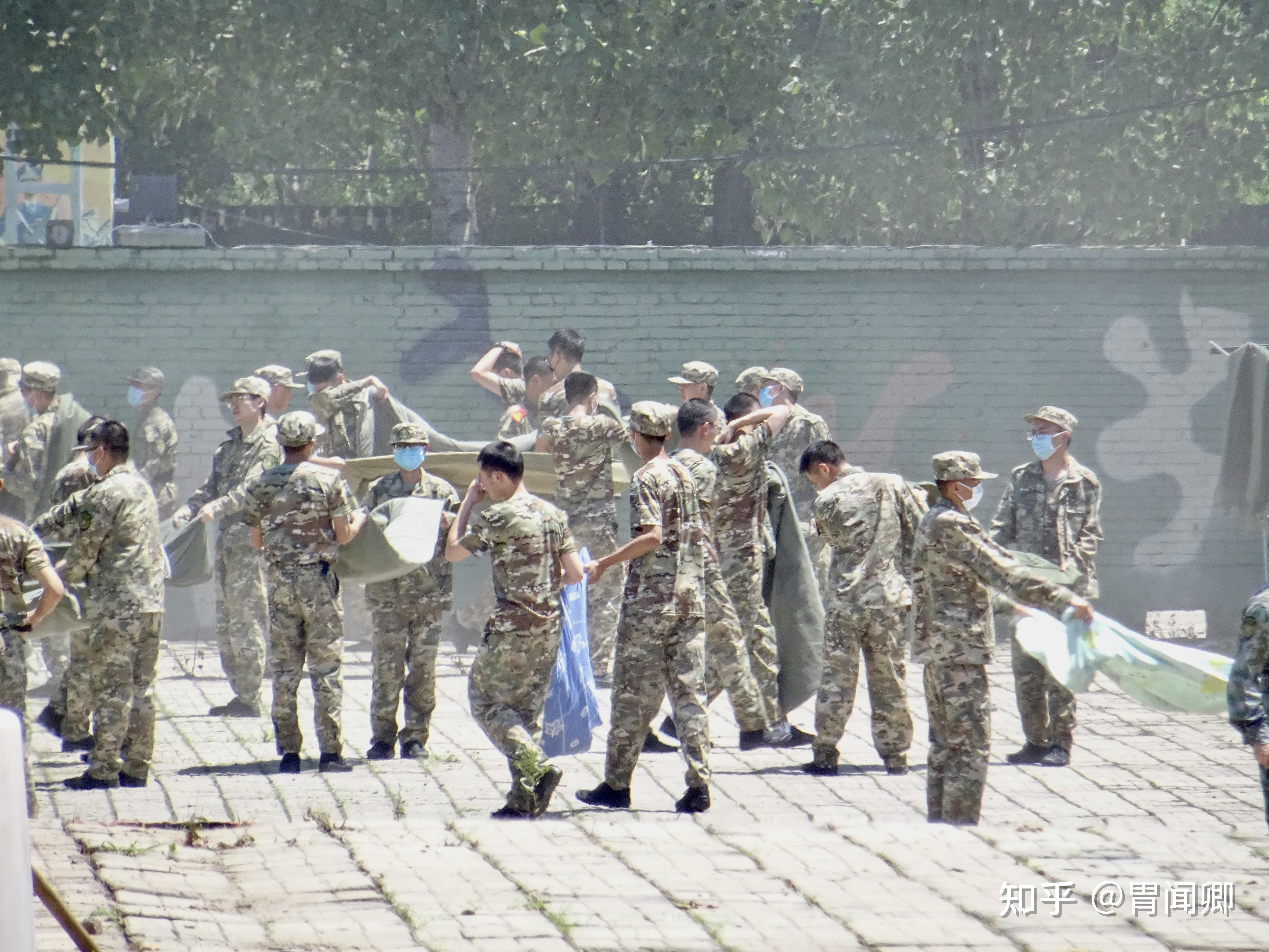 昌平军训基地图片