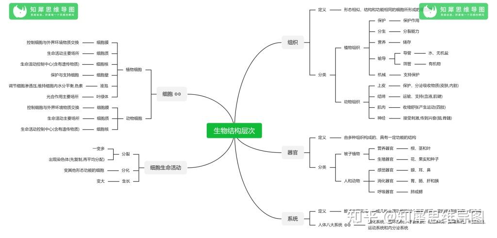 高中生物思维导图生物知识框架图