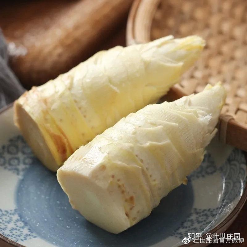 冬笋是怎么一回事? - 知乎