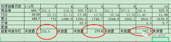 生猪价格看现在要涨多少_我要看现在的生猪价格_现在生猪价格怎样
