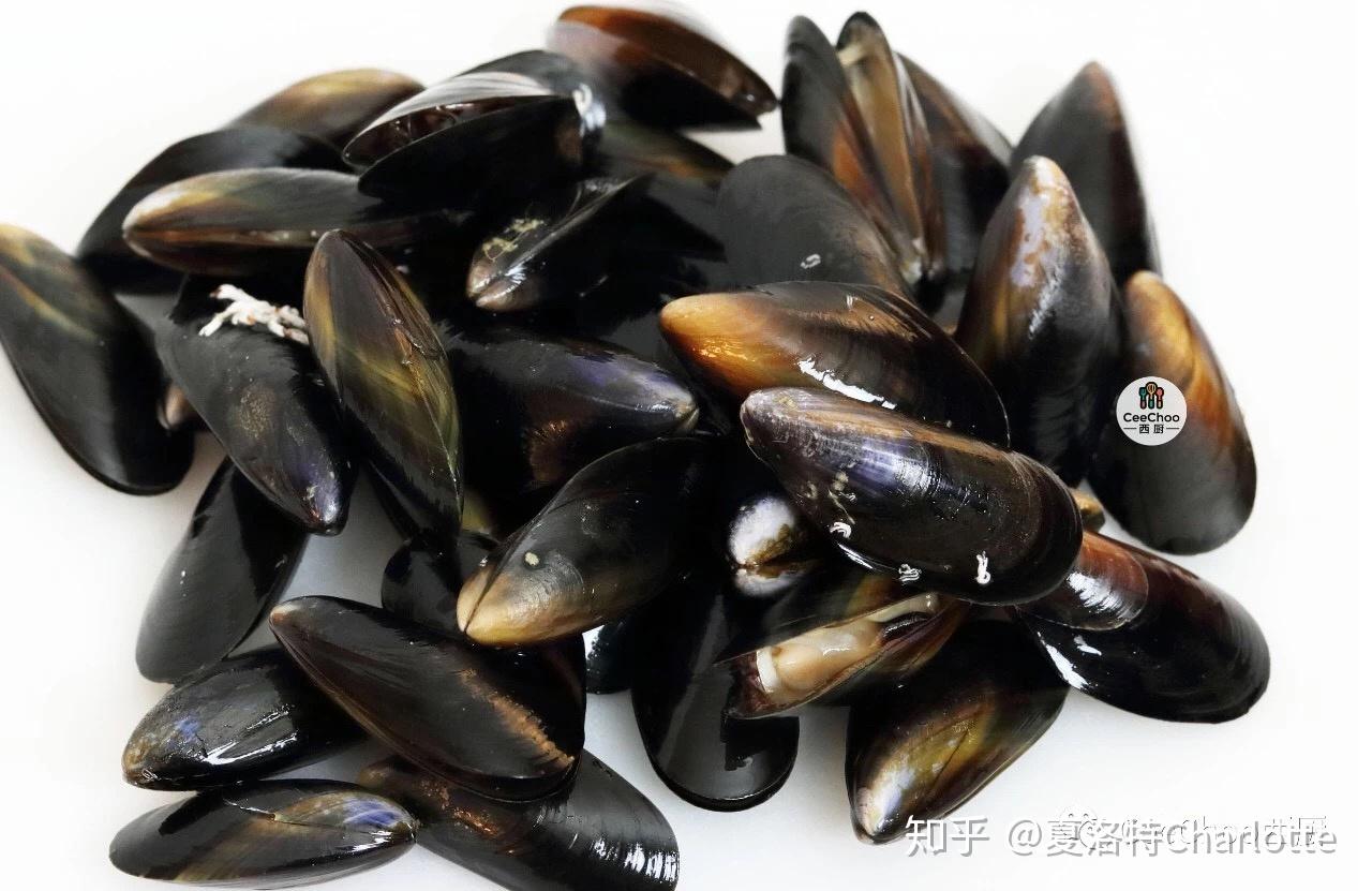 新经典辣味番茄酱青口贝