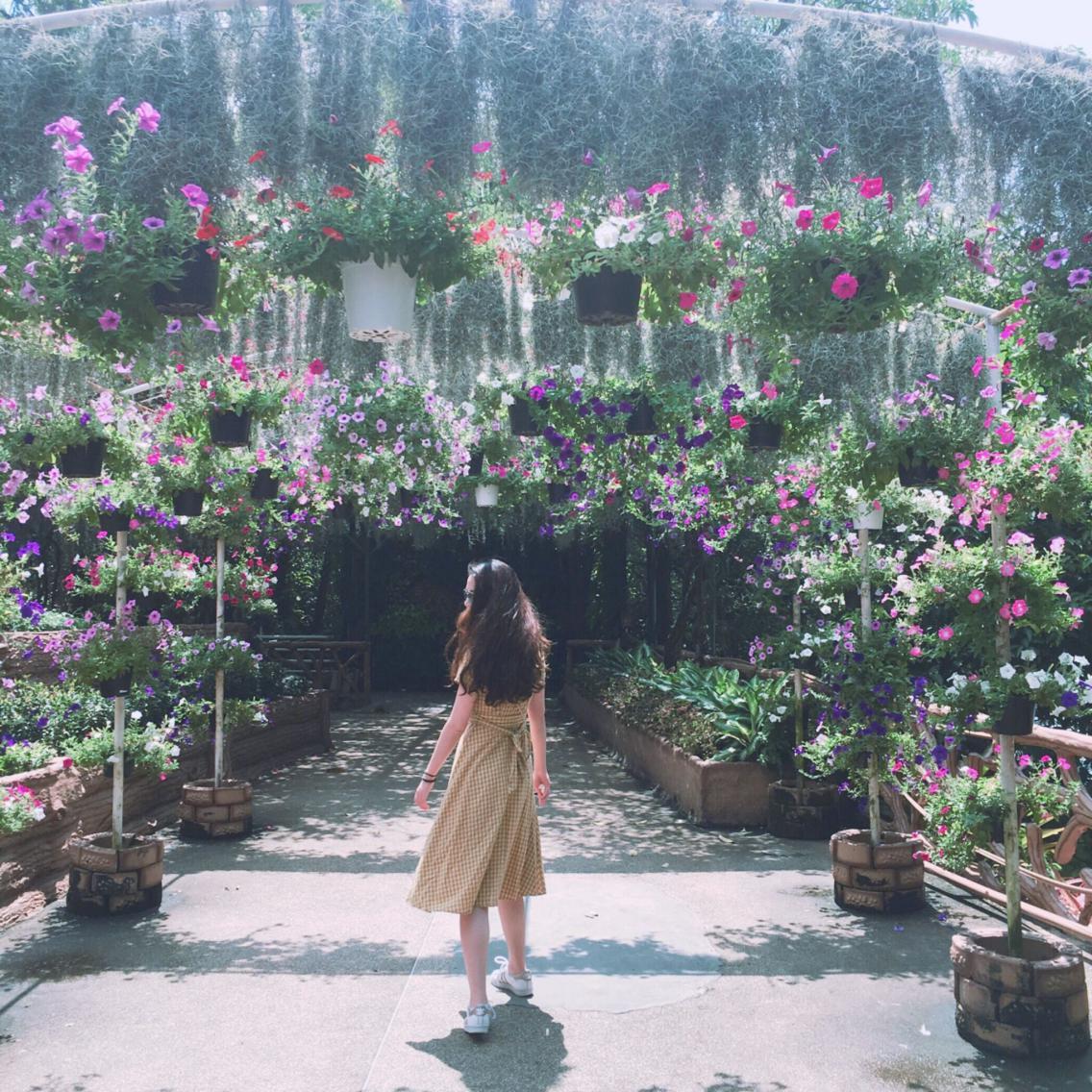 买了走着瞧旅行社组织的泰国游,有去过的朋友