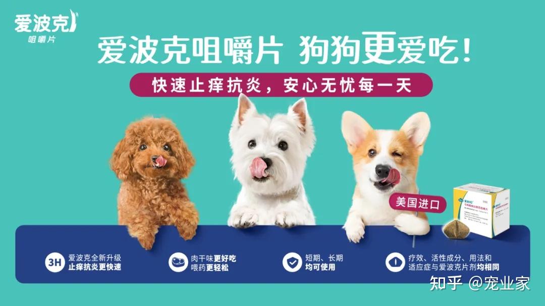 硕腾爱波克咀嚼片在中国正式上市,开启宠物无痒新空间 - 知乎