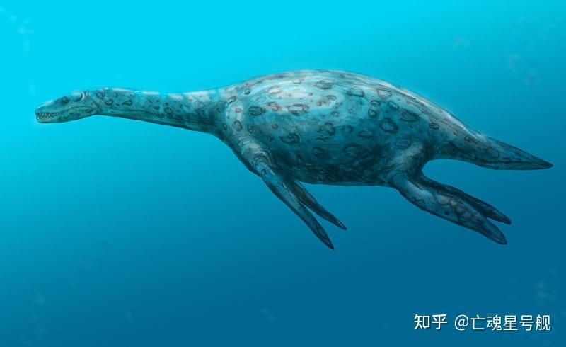 南疆潋滟鳍龙舒