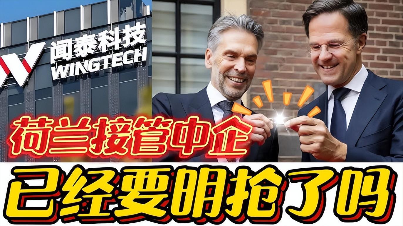 荷兰政府发现: 冻结闻泰股权事件并没按预期发展! 而是开始走向失控 - 知乎