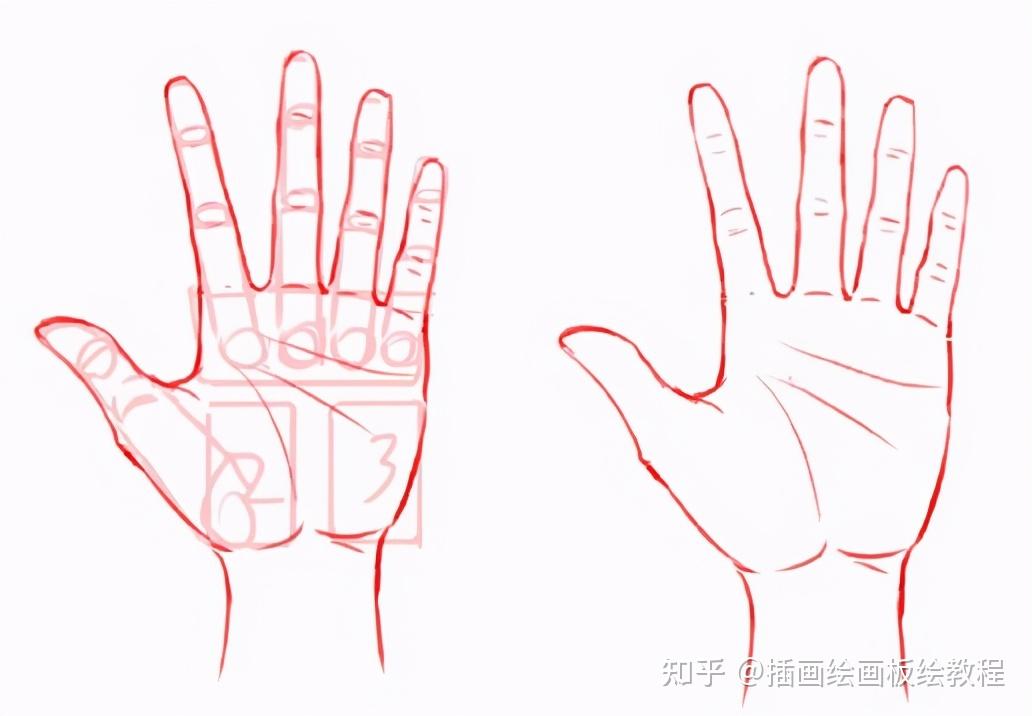 动漫人物手部结构画法解析让你对手进一步了解