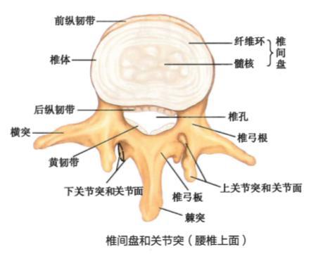 腰椎间盘突出怎么办 微创还是开刀 脊柱外科专家王松科普系列 知乎