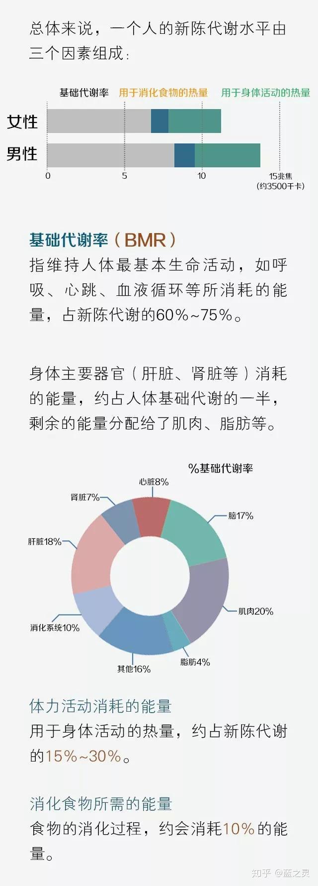 新陈代谢说明书几招叫你认识自身的新陈代谢