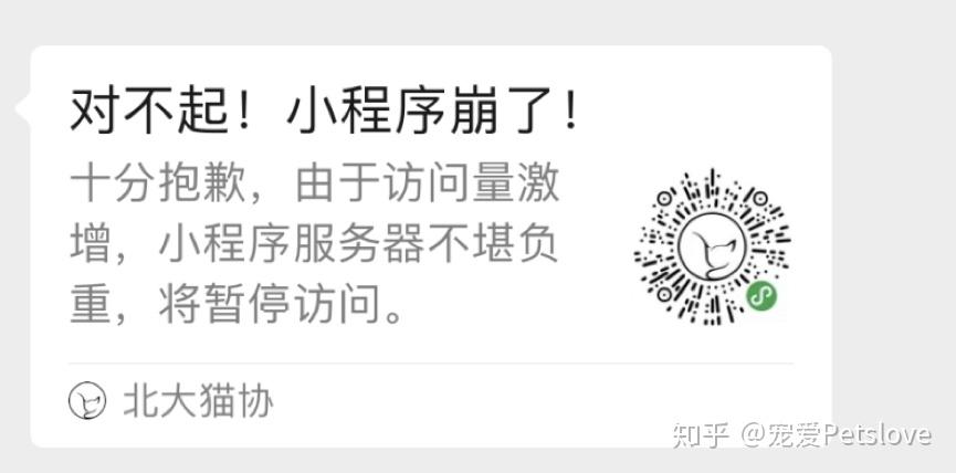 千万网友喜欢的北大猫咪图鉴奇怪的学习动力增加了