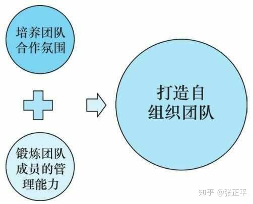 如何实现团队的自组织管理