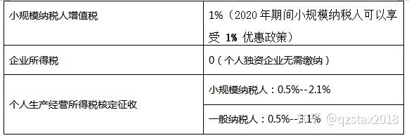 個人獨資企業(小規模/一般納稅人)