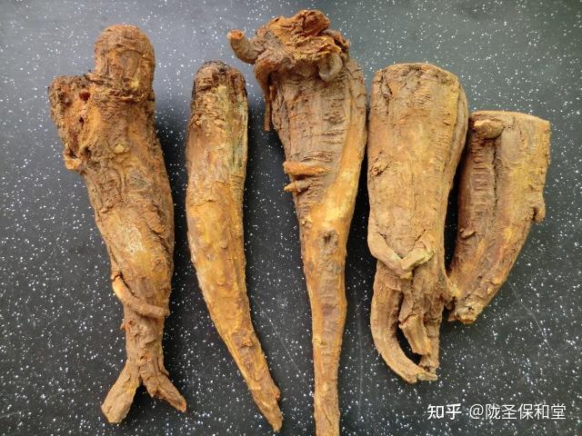 考证中药材大黄道地特征