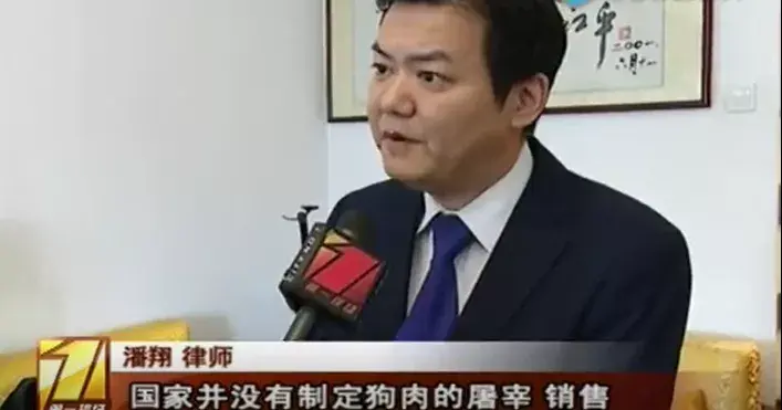 大快人心宠物盲盒涉事企业终被处罚