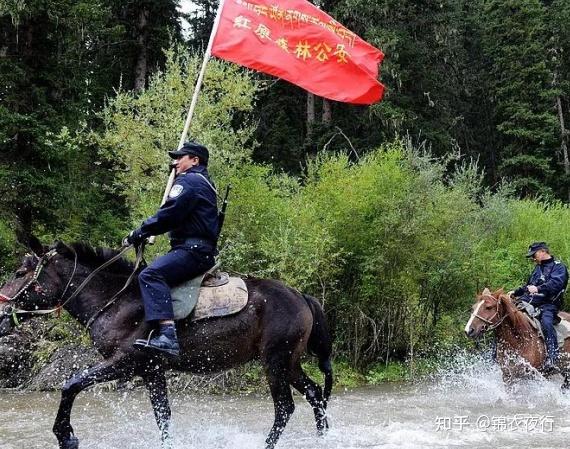 機槍淘汰騎兵別說騎馬騎犛牛水牛的都有盤點全球那些現役騎兵