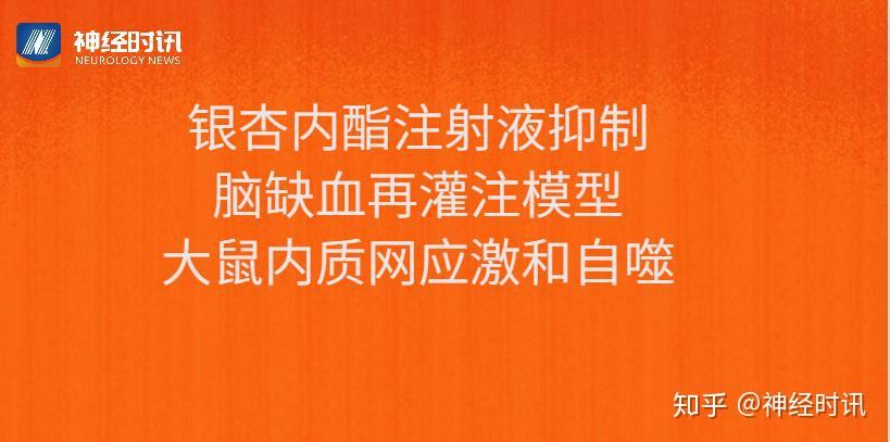 銀杏內酯注射液抑制腦缺血再灌注模型大鼠內質網應激和自噬