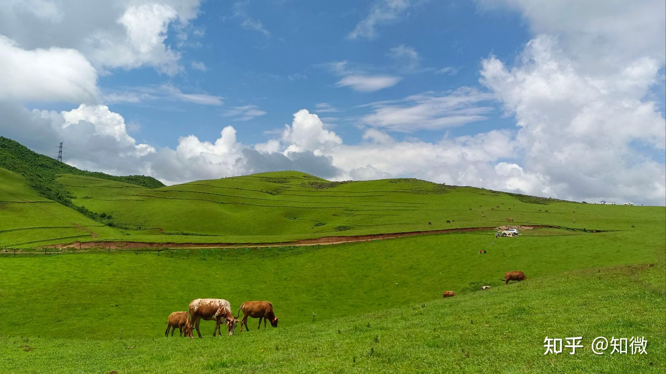 南国草原露营记