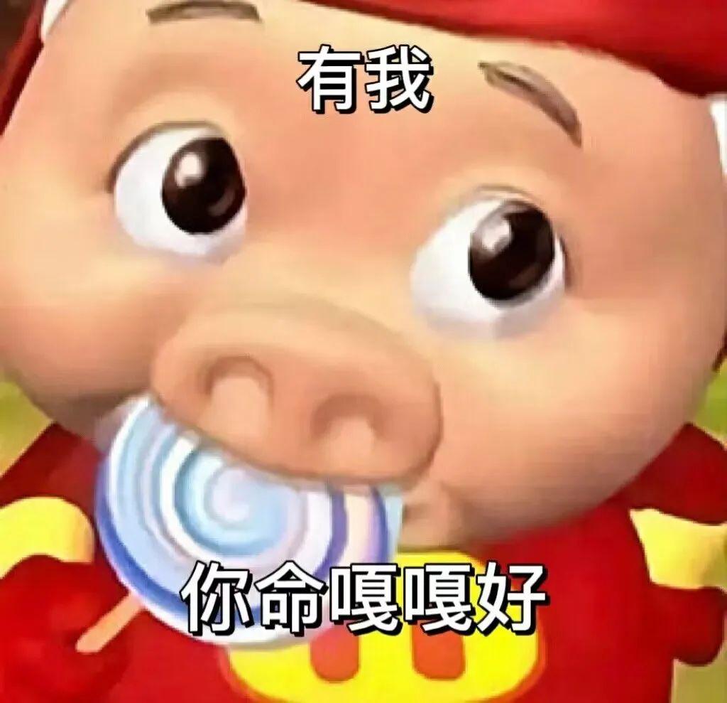热门表情包合集：冯万宁媳妇儿咬拖鞋，kuromi表情包，猪猪侠最新表情包 - 知乎
