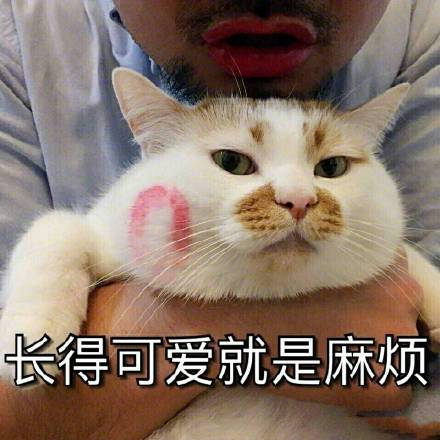 保养护肤水果_护肤保养 图片_护肤保养说说
