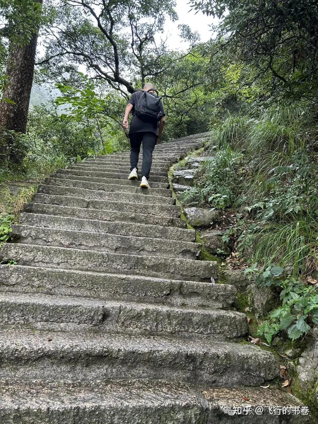黄山雨中独行记(一):从云谷寺徒步到白鹅岭,一路有啥美景? - 知乎