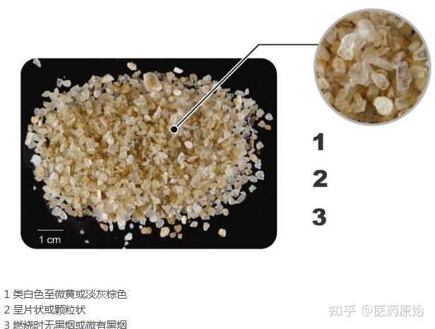 带你识别冰片 - 知乎