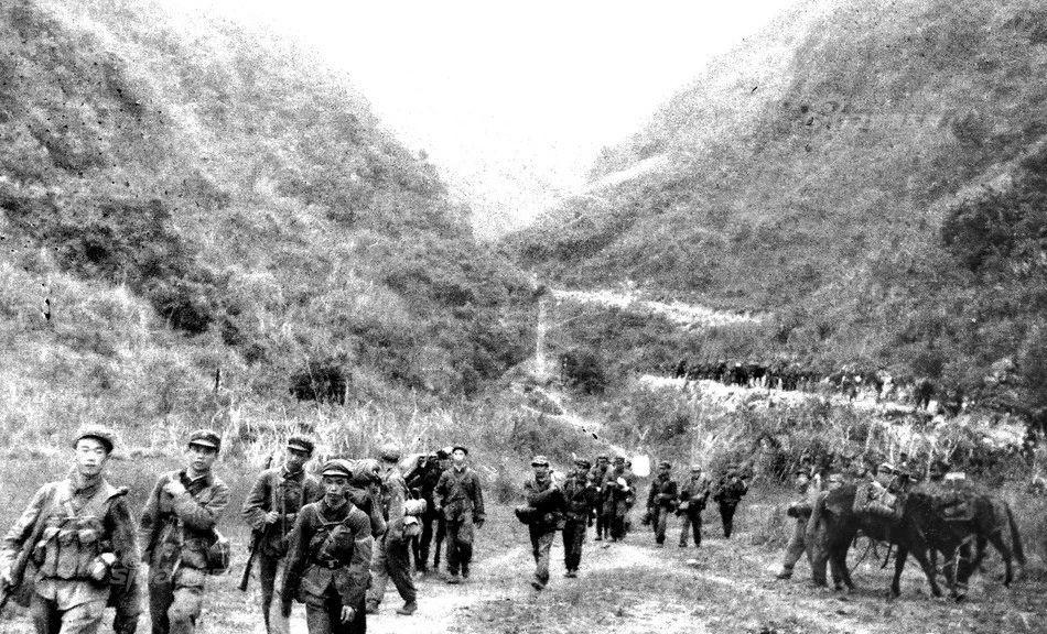 43军对越自卫反击战教训