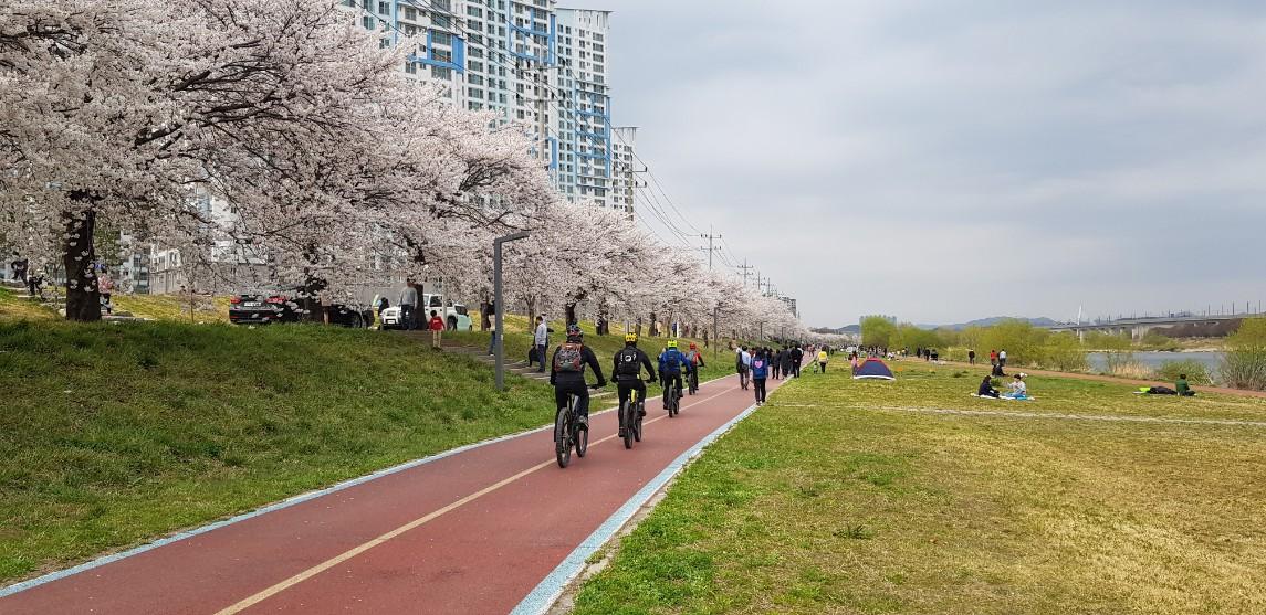 英语中表示沿着的介词alongalongwithalongside