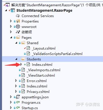 Cshtml Razor Ui Component Library Razor Pages 项目中的布局视图 - 知乎