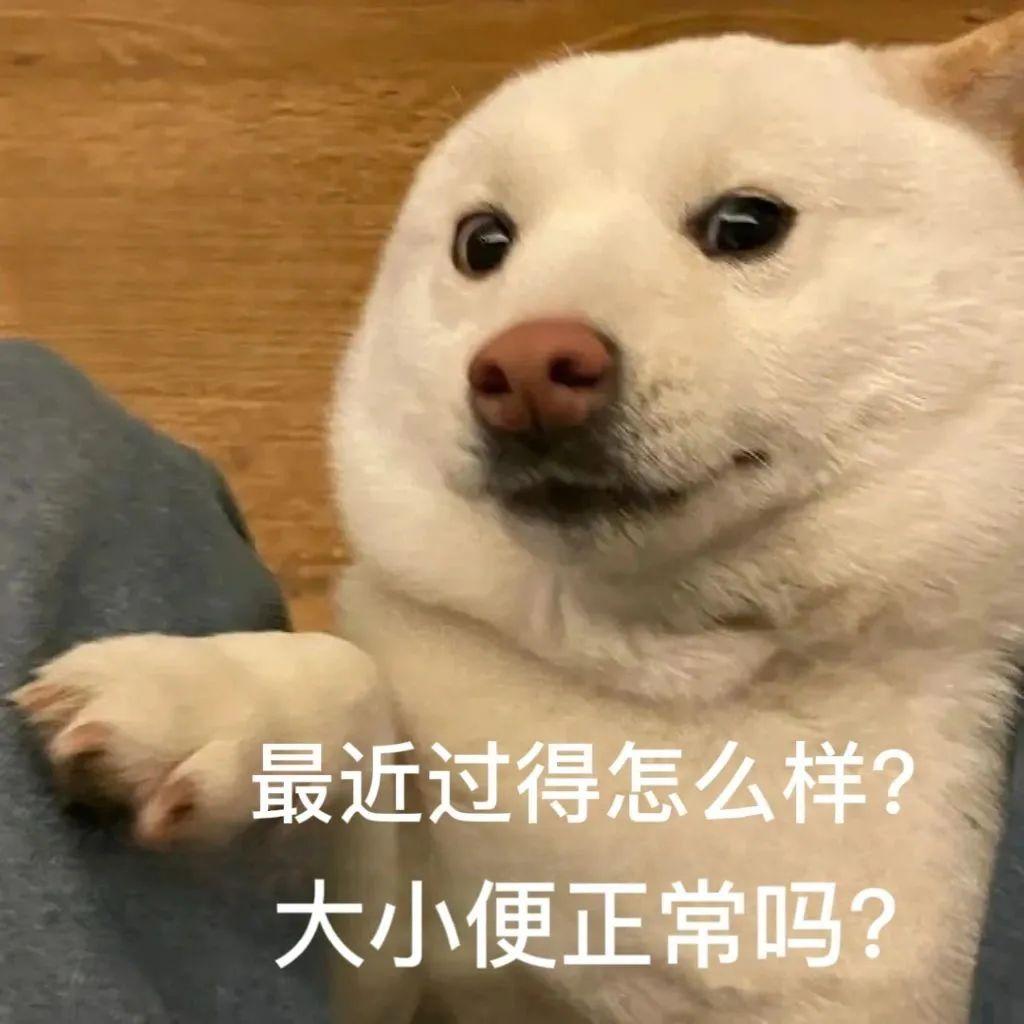 表情包最近过得怎么样大小便正常吗